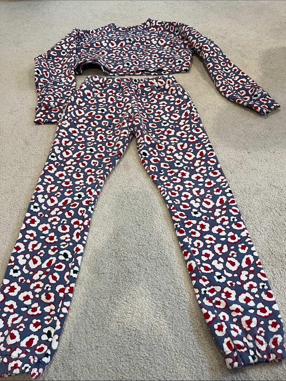 Women's Navy Leopard Print Jogger Pants - Red & White Accents